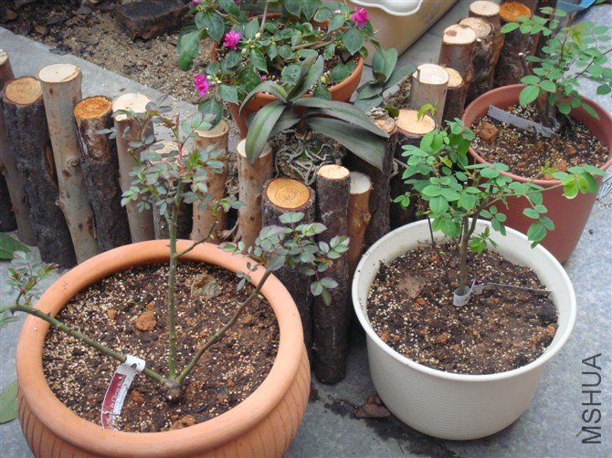 �����¸�40���յģ��������ֲ��̫���ĵط�