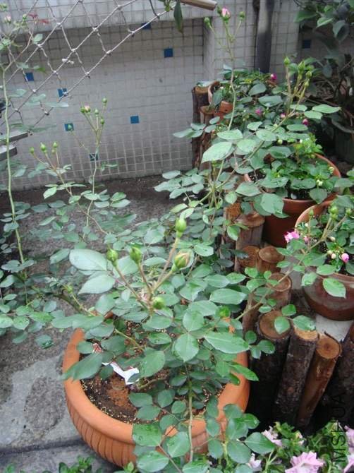 2011��3��24��������ĵ�һ�̣���������