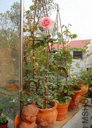 DSC_0902.jpg