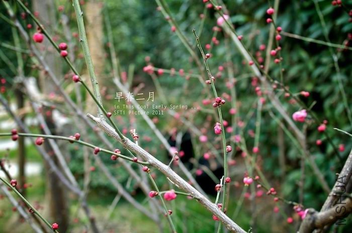 ������С tu0.jpg