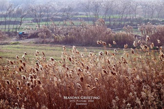 ������С d3.jpg