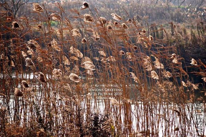 ������С d1.jpg