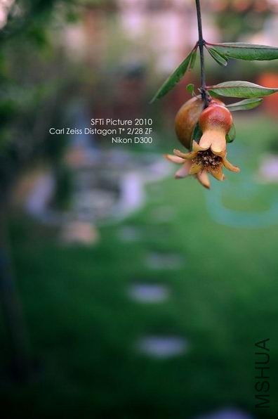 ������С j8.jpg