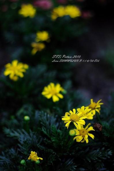 ������С h2.jpg