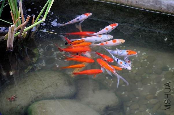 ������С j1.jpg