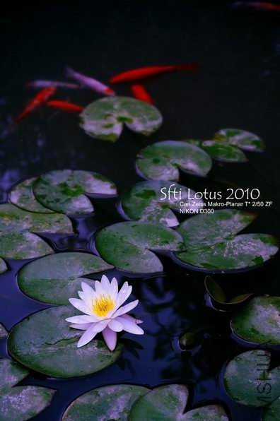 ������С j14.jpg