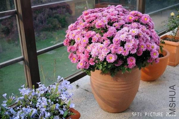 ������С j2.jpg