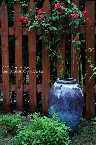 ������С y1.jpg