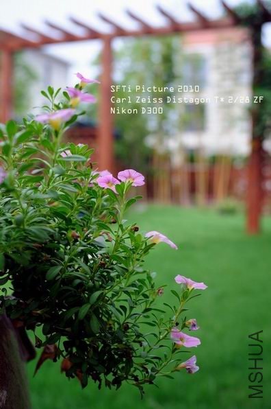 ������С y2.jpg