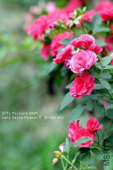 ������С yj6.jpg