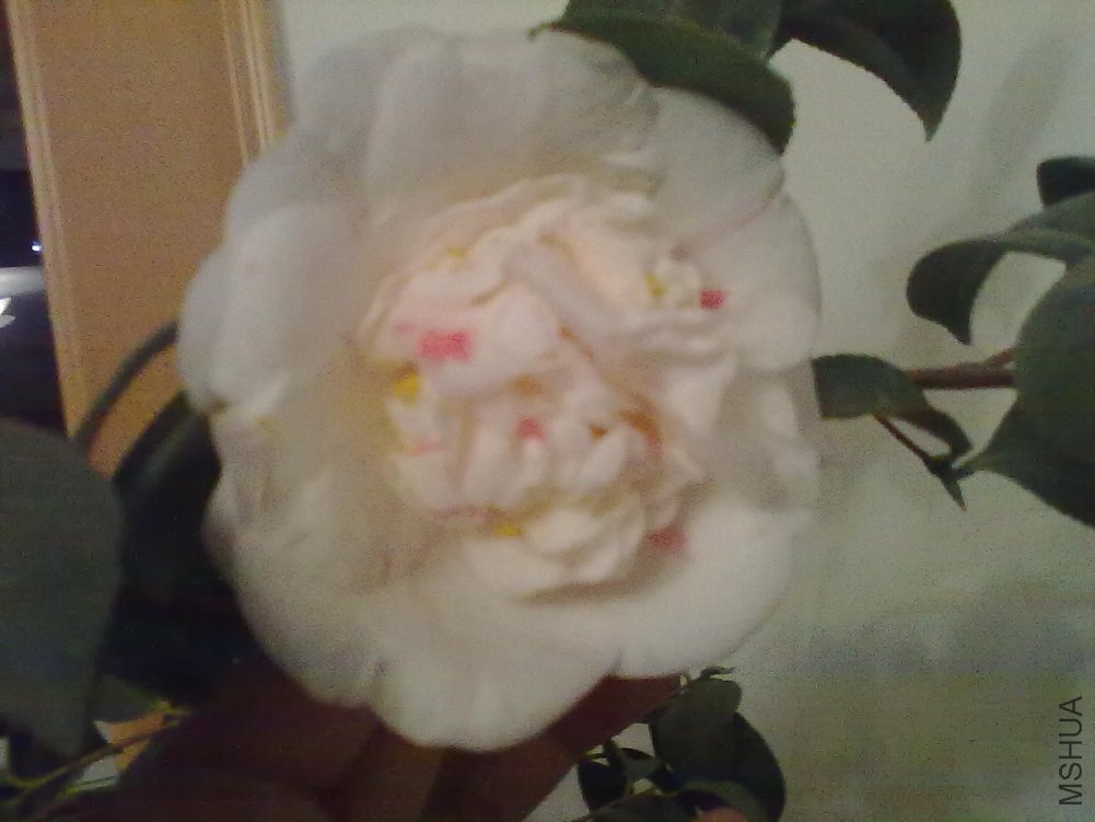 20110402302.jpg