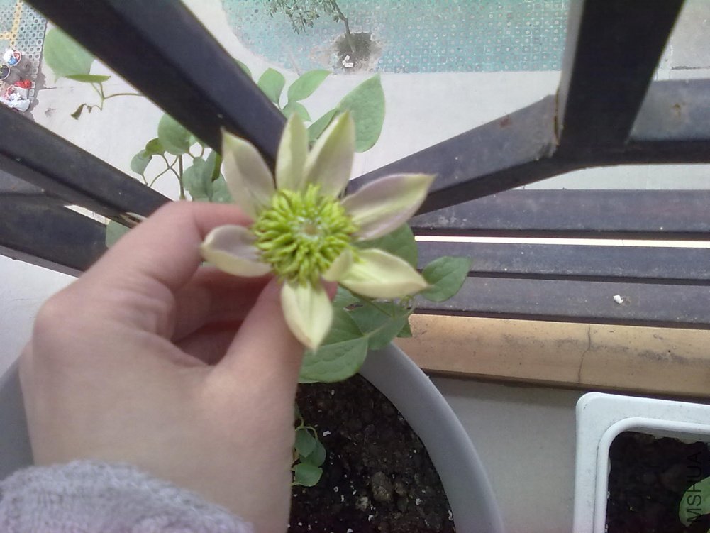 20110330109.jpg