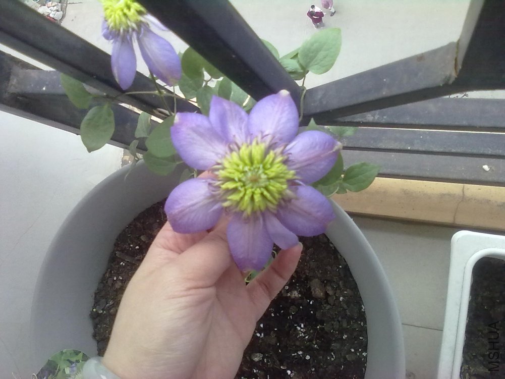 20110403114.jpg