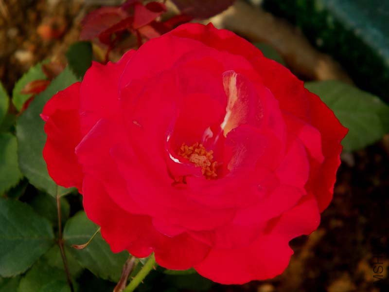 100_0552.jpg