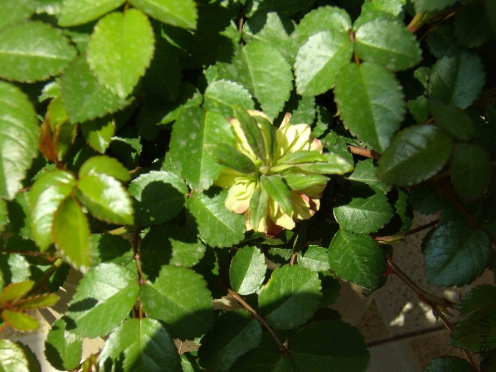 P4040004.jpg
