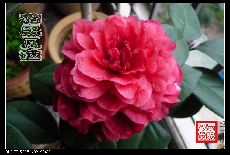 2011���ڱ���-06.jpg