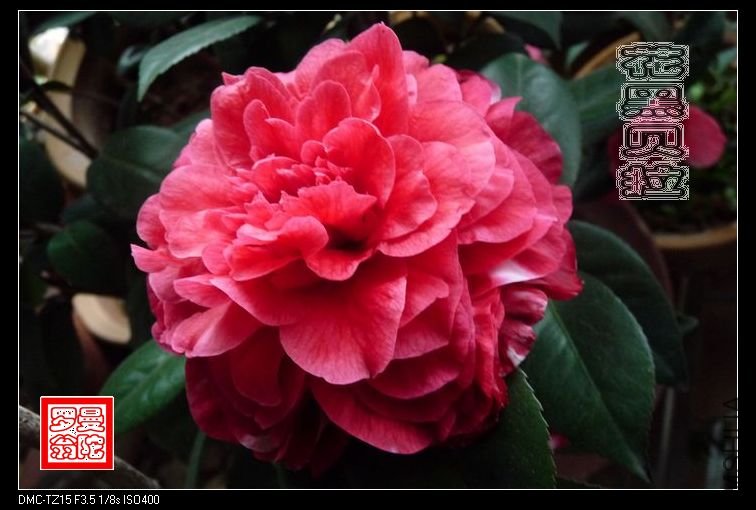 2011���ڱ���-05.jpg