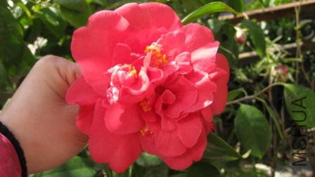 ��Ƭ 027.jpg