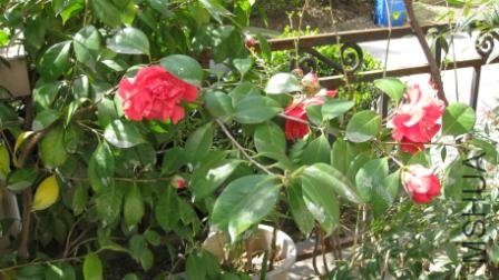 ��Ƭ 024.jpg