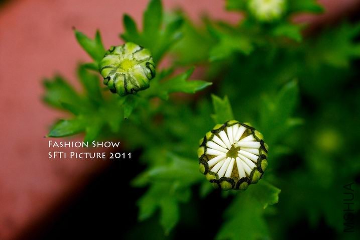 ������С 29434_1301925652.jpg