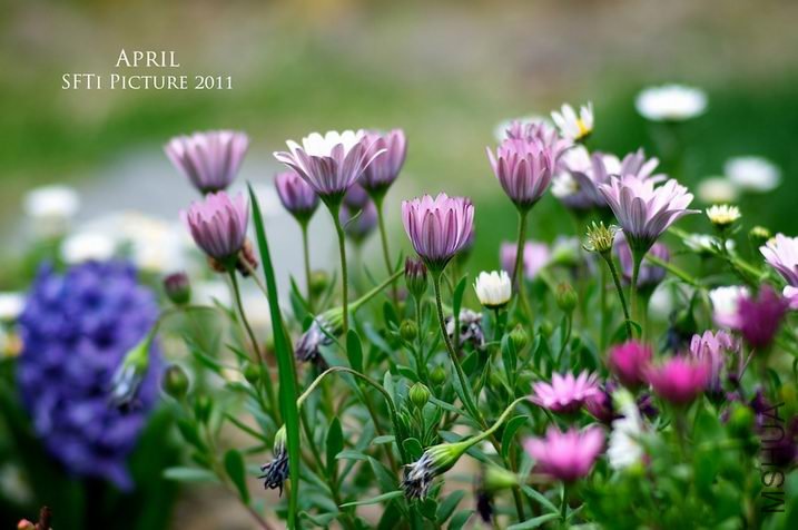 ������С 29434_1301925778.jpg