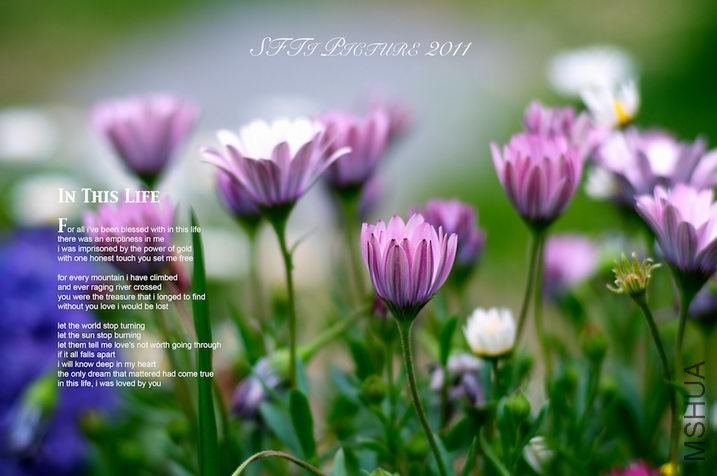 ������С 29434_1301925818.jpg