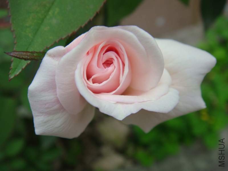 �����¼�