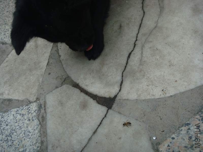 С�ڱ��۷�������ˡ���������