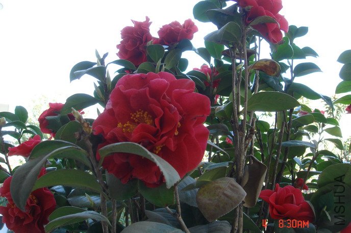 DSC03394.JPG