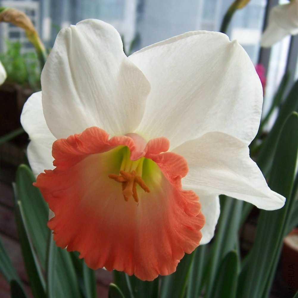 ��ˮ�� ����  2011-04-02.JPG