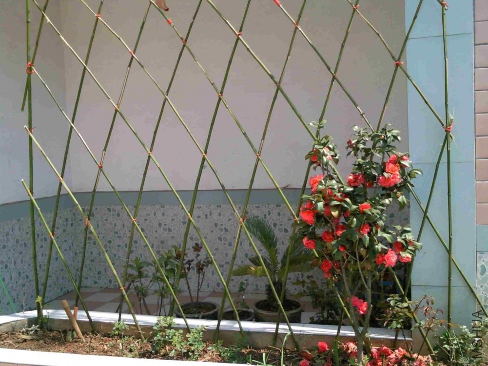 SNC00180.jpg