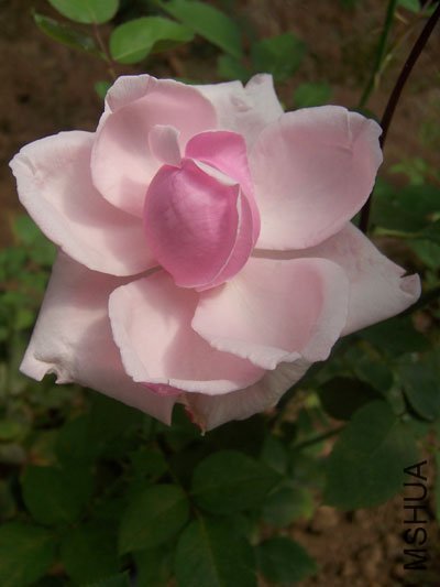 100_6304.JPG