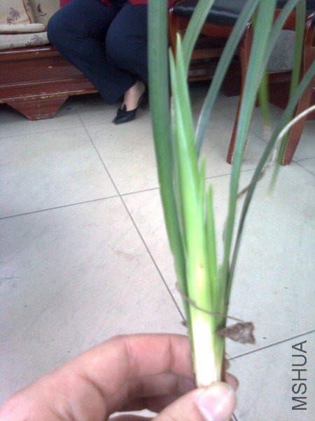 ��Ƭ0409_001.jpg