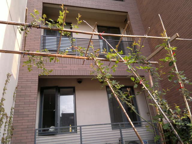 02.jpg