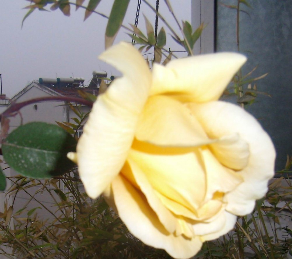 aP4060018.jpg