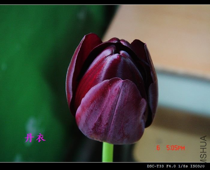 ���濴
