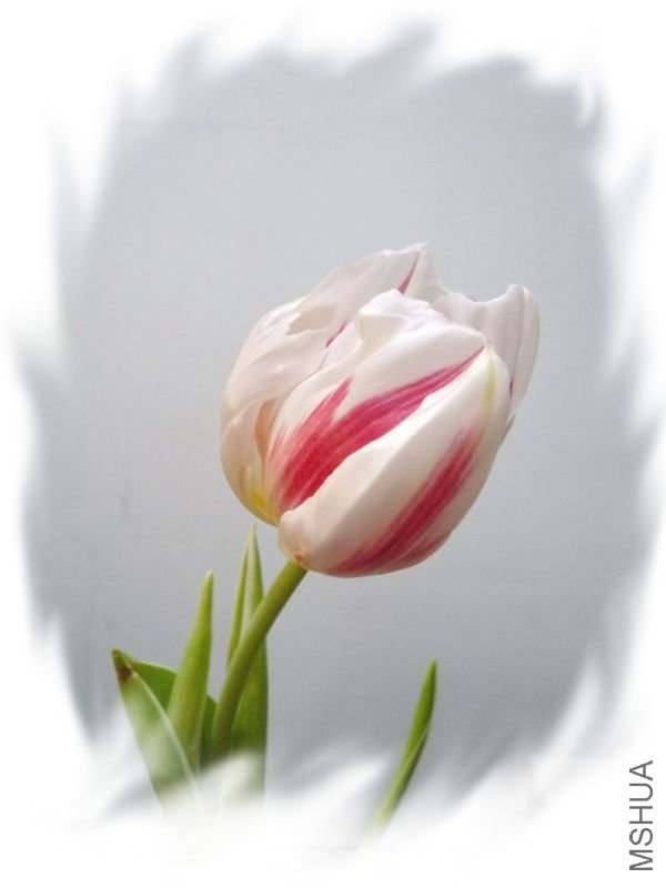 �Ҹ�һ��2.jpg