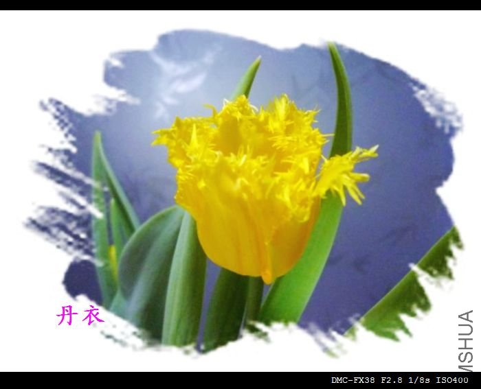 ���ܶ��ٻ�ɫ�α�