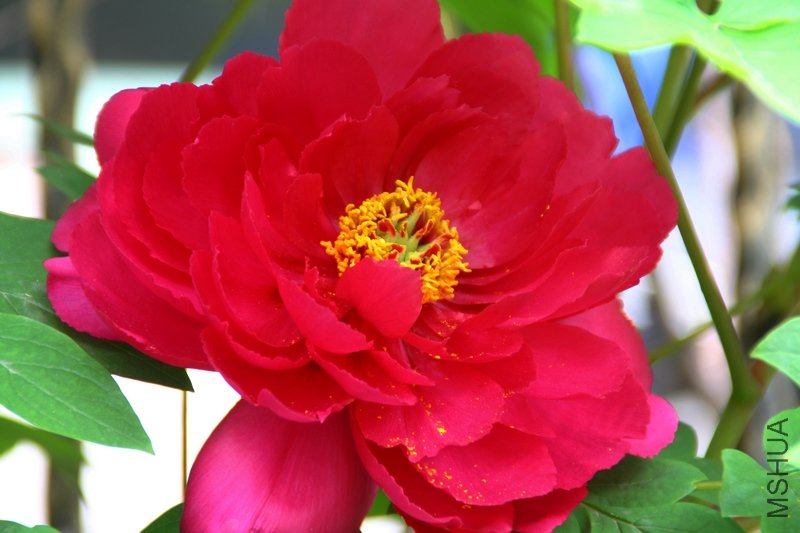 2011.04.07.�軨��ĵ�� 079+1.jpg