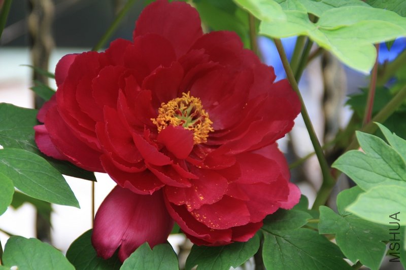 2011.04.07.�軨��ĵ�� 075+1.jpg