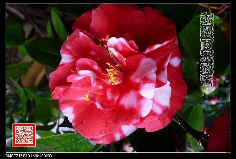2011����������ʿ-04.jpg
