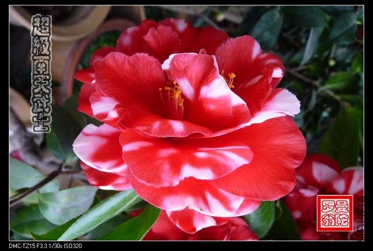 2011����������ʿ-03a.jpg