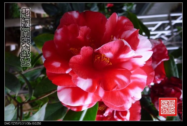 2011����������ʿ-04a.jpg