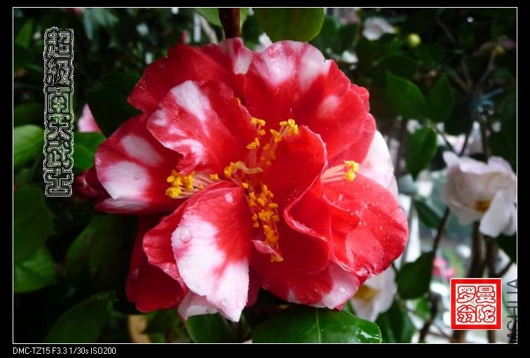 2011����������ʿ-05.jpg