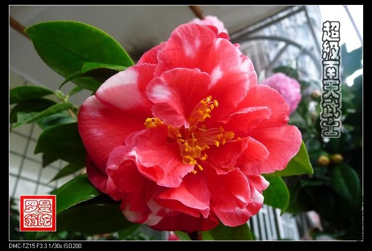 2011����������ʿ-06.jpg