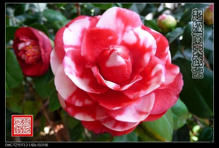 2011����������ʿ-012.jpg