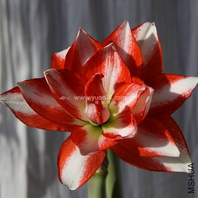 C17 �����ȸ2.jpg