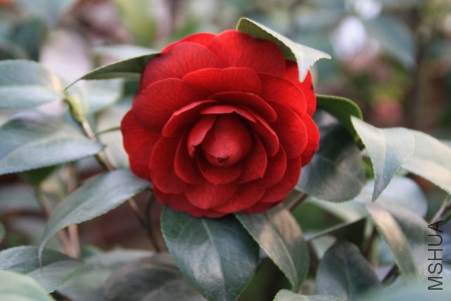 2011.04.07.�軨��ĵ�� 016+1.jpg