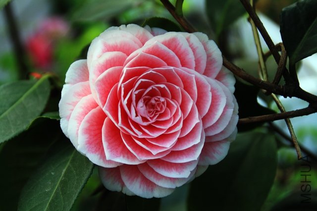 2011.04.07.�軨��ĵ�� 007+1.jpg