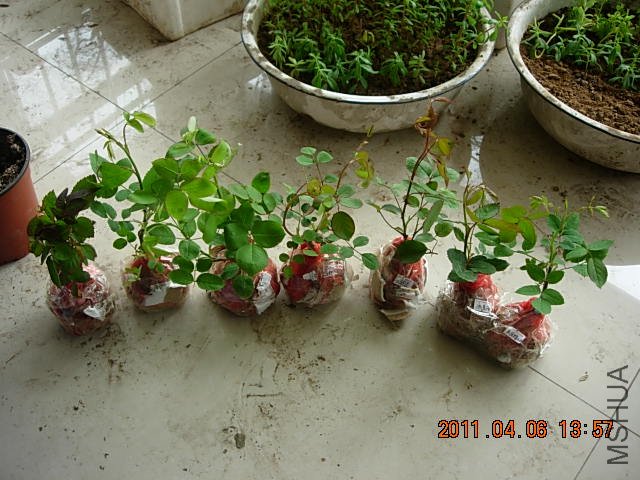 ŷ�� 192.jpg